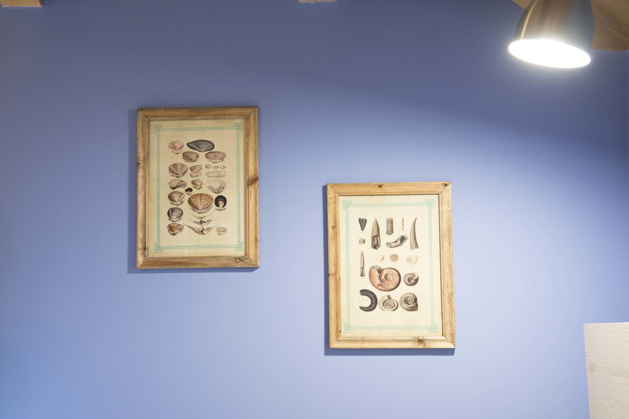 La Tenuta Di Trimalcione Pofi エクステリア 写真